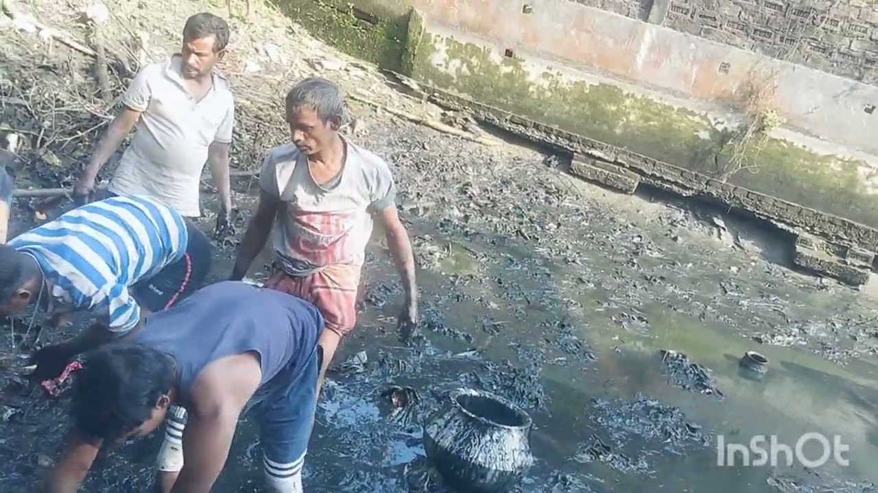 পুকুর থেকে কোই। মাগুর আরও অনেক মাছ ধরা হয়েছে।🐟🐠 ভিডিও টি ফুল দেখো .#shortvideo #pz like this video 