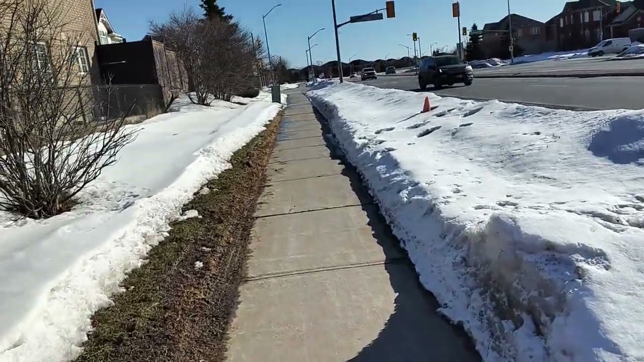 Snow in March❄️❄️❄️🍁🍁🍁