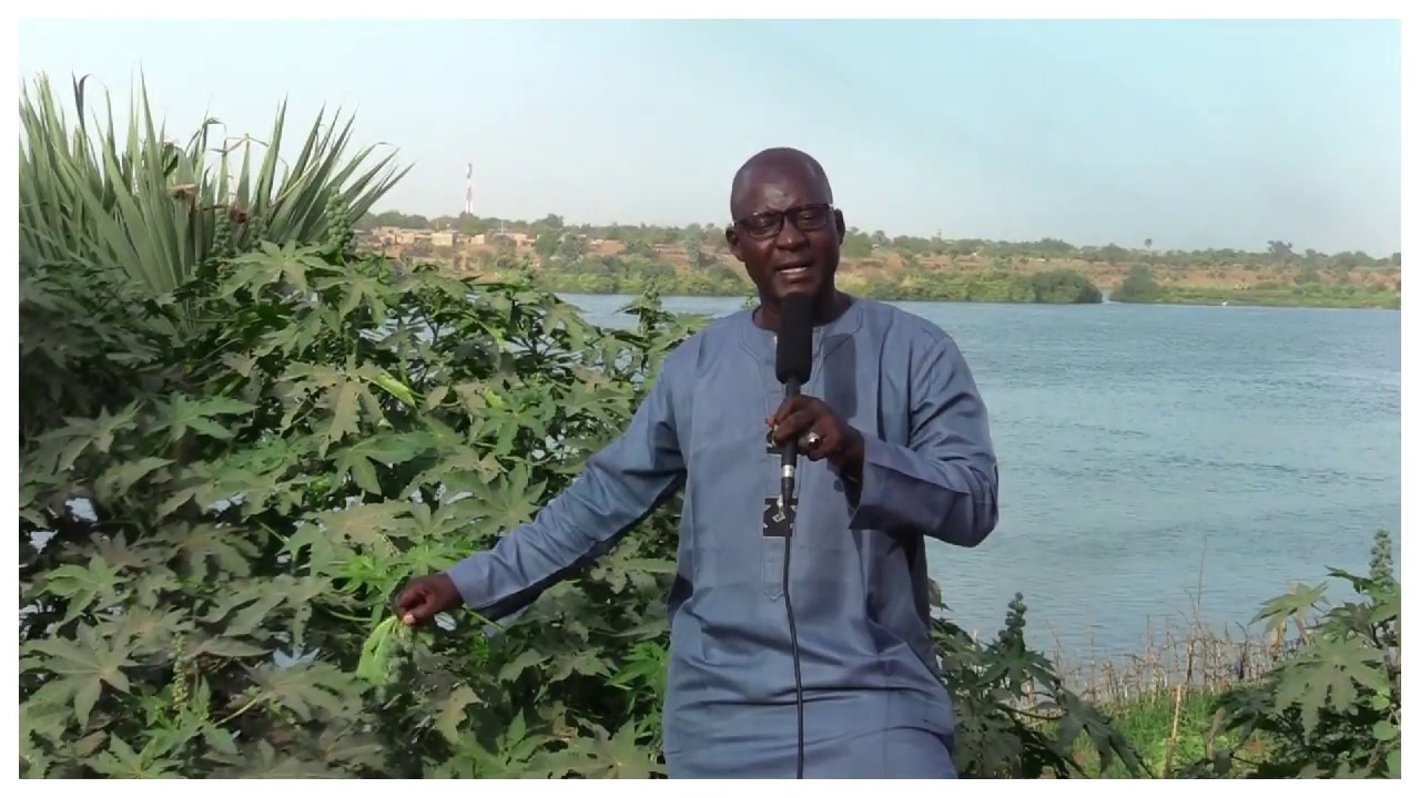 👉 MÉDECINE TRADITIONNELLE, VERTU DES PLANTES (LEÇON N° 003 SOUBA BANAMBOULOU )