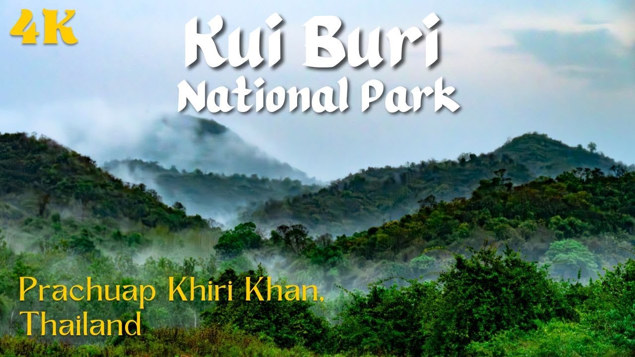 Kui Buri National Park, Prachuap Khiri Khan, Thailand | Must Visit Place | Travellers | Alissa & Jay