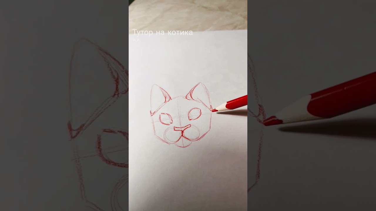copp долго небыло 🎀❤️ #котик #тутор #art #артроблокс #drawing #ялюблюрисовать #роблокс #рисунок
