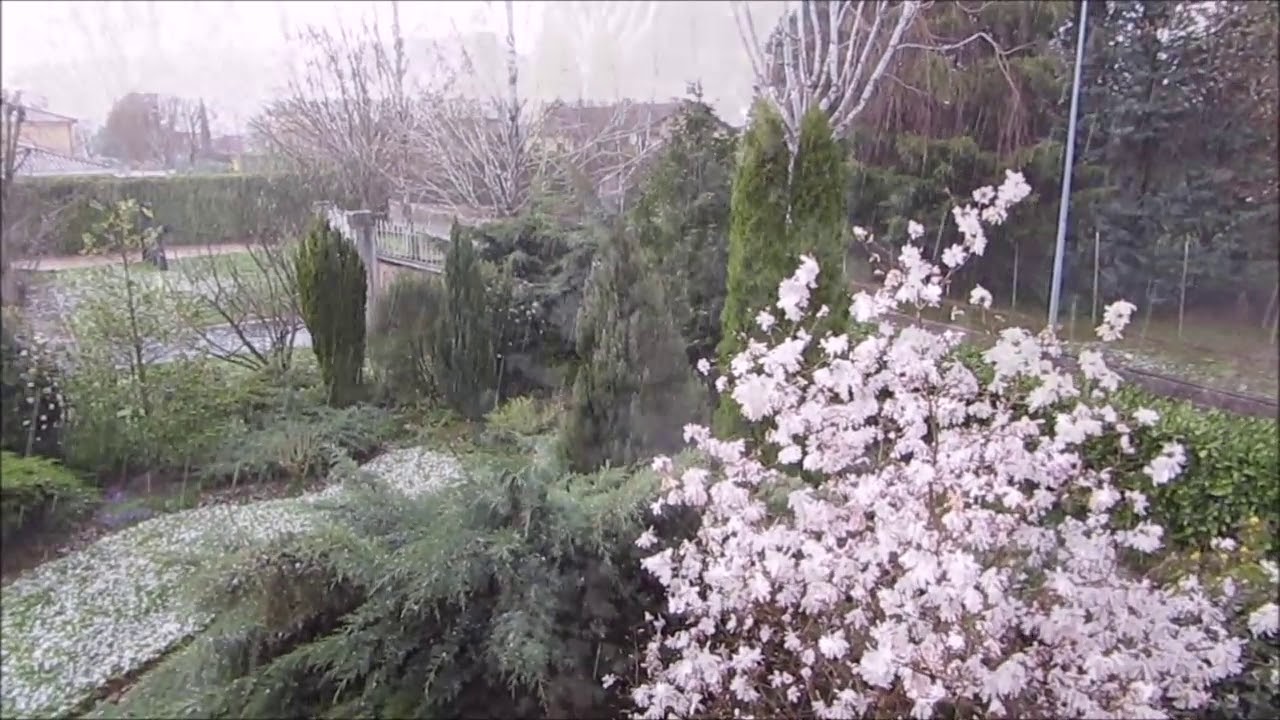 2018-03-31 Hail at Amberieux