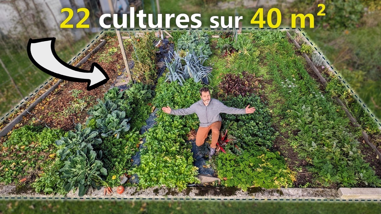 Potager ultra productif, serre, engrais verts : grand tour du jardin vivrier en cette fin octobre 🍂