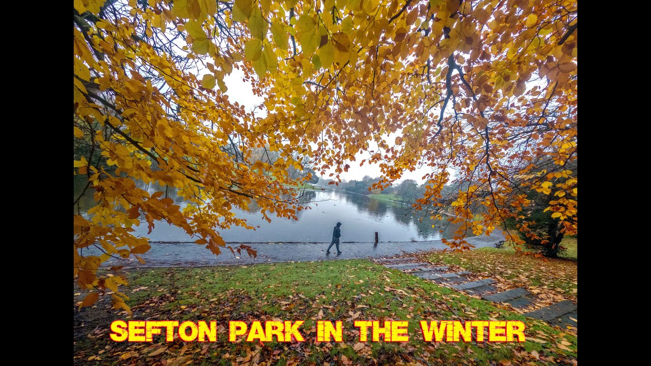 Sefton Park In The Winter 2023