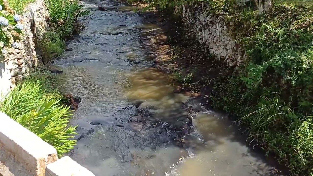 Hoje no riu das antas 
