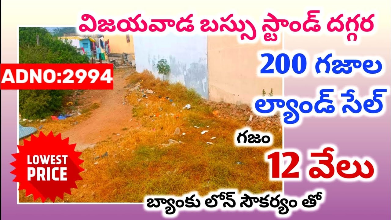 బంపర్ 👌offer 200 గజాల ల్యాండ్ గజం 12వేలు మాత్రమే బ్యాంకు లోన్ సౌకర్యం తో #bankauctionproperty 