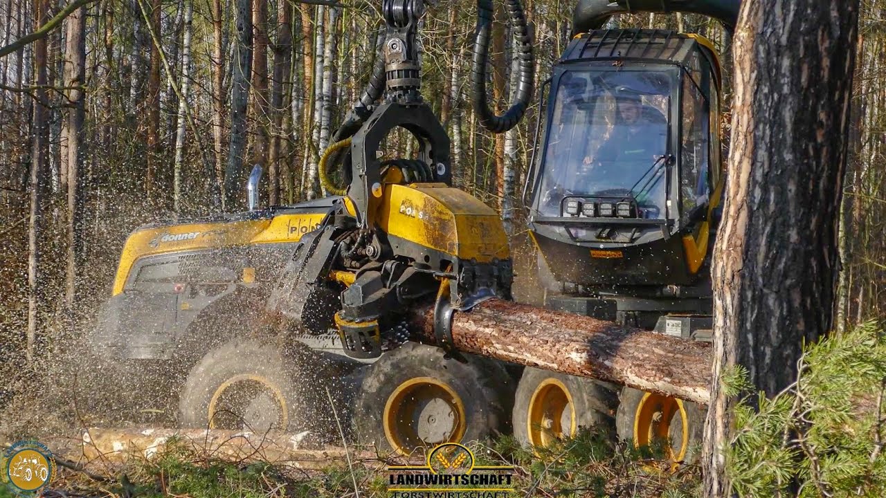 Ponsse Scorpion King m. H6 - 64cm Fällkopf Aggregat Ponsse Harvester Im Kampf gegen den Borkenkäfer