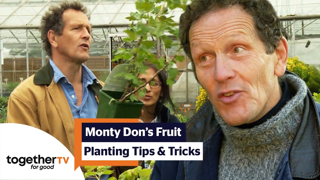 Monty Don Shares Some Fruit Planting Tips and Tricks | Compilation | Big Dreams, Small Spaces