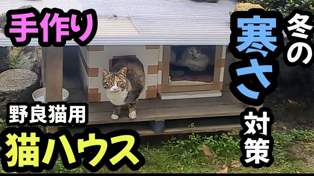 【寒さ対策】野良猫に冬用猫ハウスをプレゼント！喜んでくれるのか？