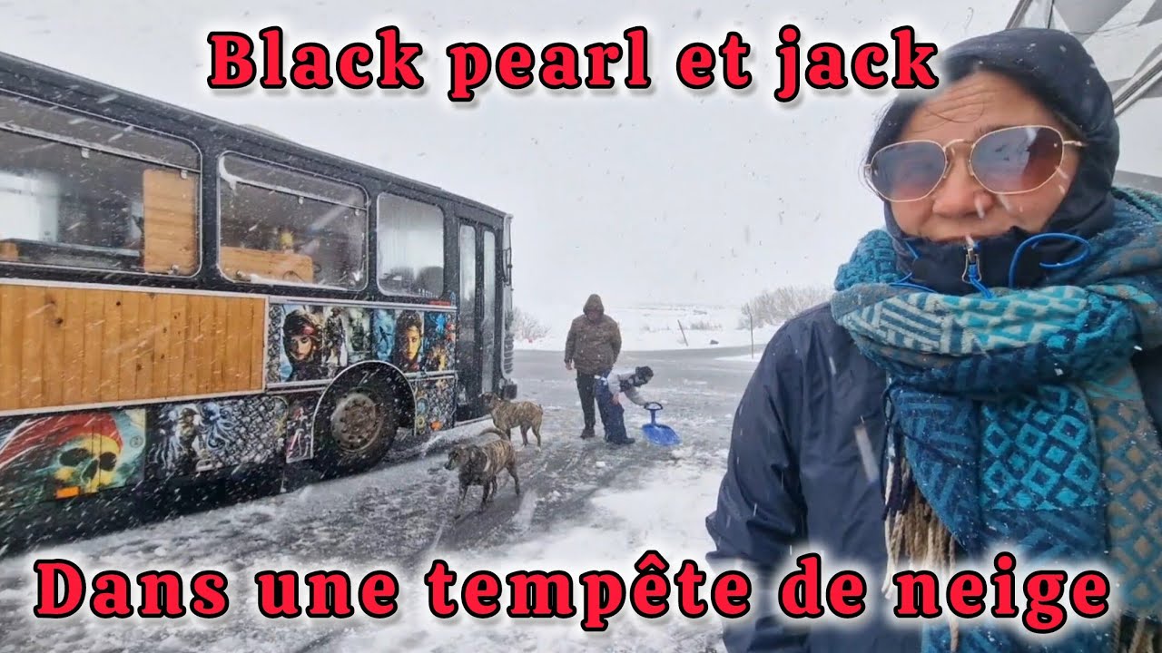 C'est la tempête, heureusement qu'on à nos maisons 😁