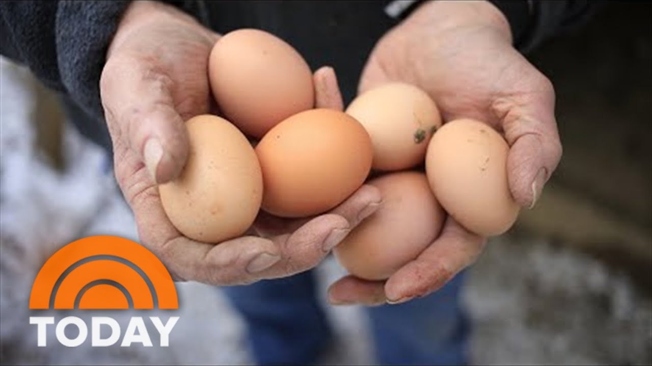 Egg Prices Skyrocket Due To Bird Flu Outbreak