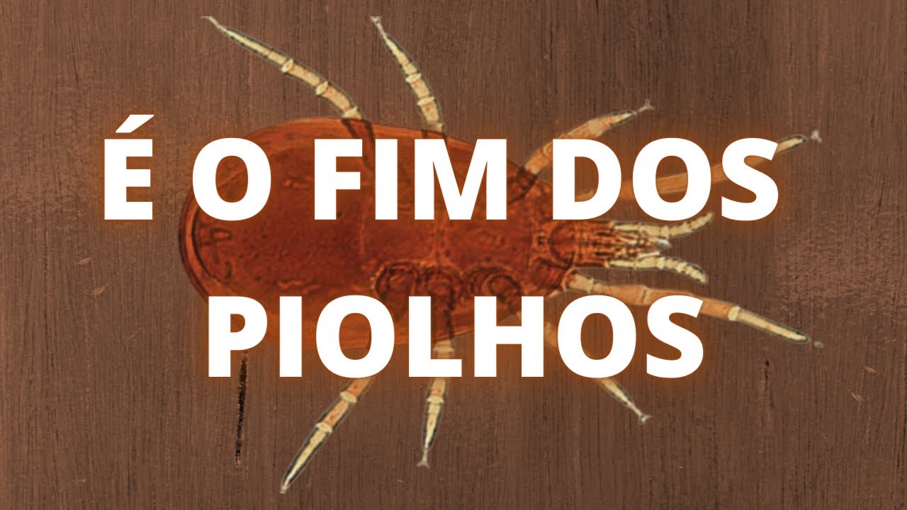 COMO ACABAR DE VEZ COM OS PIOLHOS DE GALINHA- LIMPANDO AS BAIAS - Criatorio Pestana Aves Ornamentais