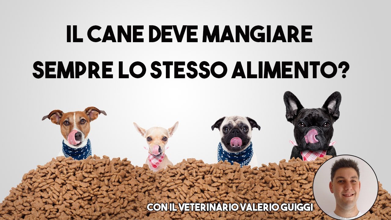 Il cane deve mangiare sempre lo stesso alimento?