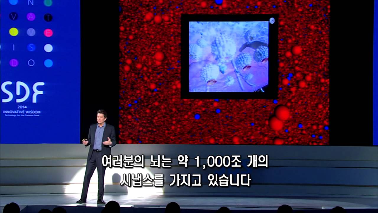 [SDF2014] 휴먼 브레인 프로젝트[HBP] : 인간의 뇌를 가상 공간에서 구현하다 - 헨리 마크램