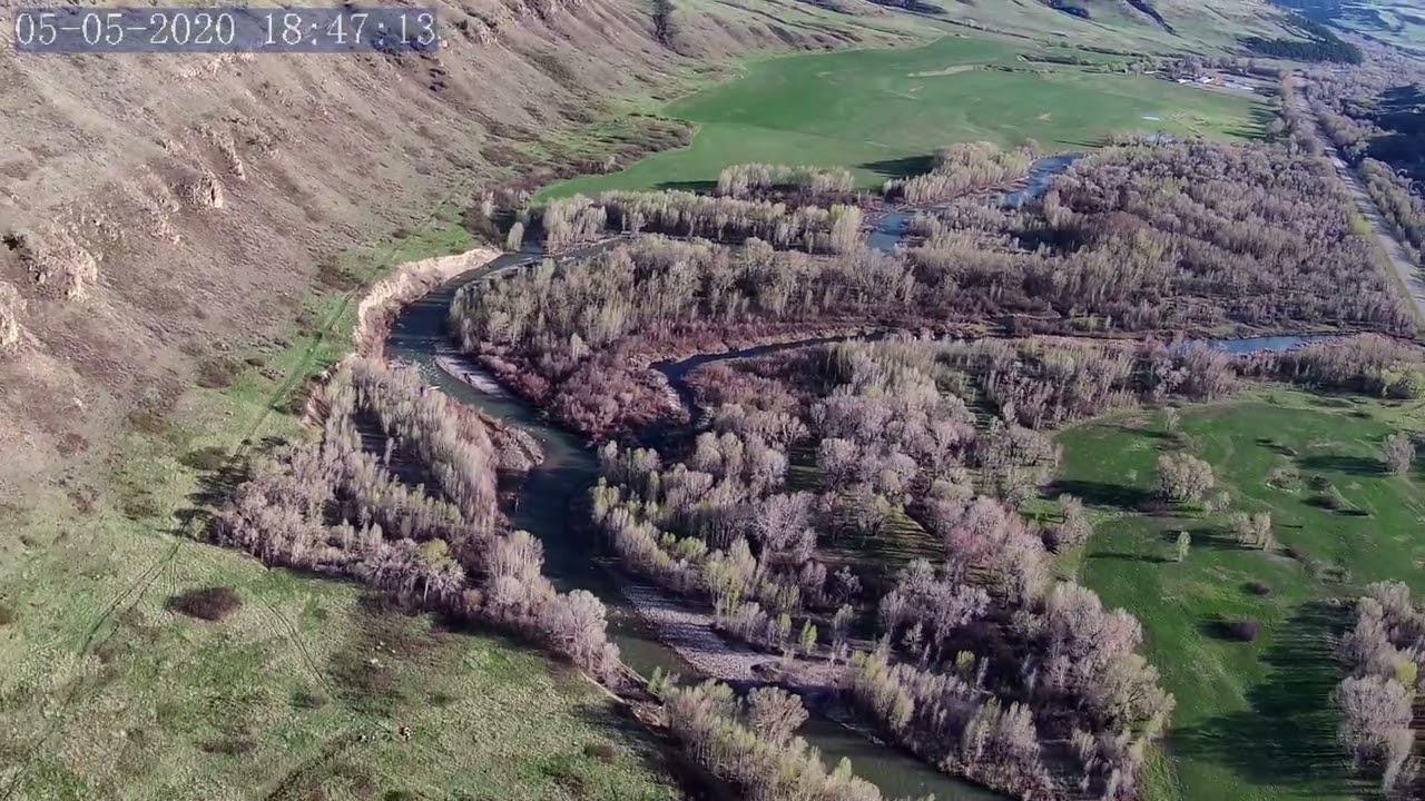 Evening over the Creek May 5, 2020