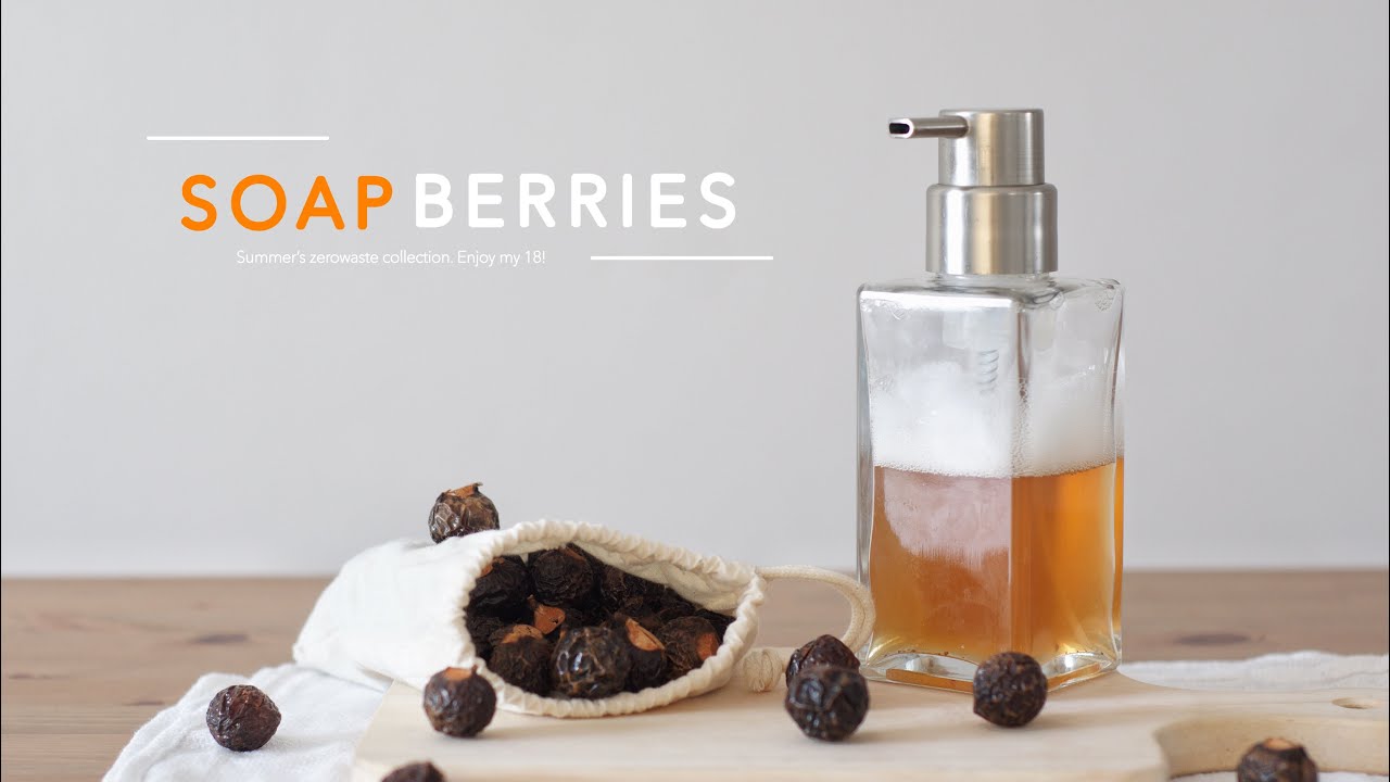 How to Make Soap from Soapberries/Soapnuts