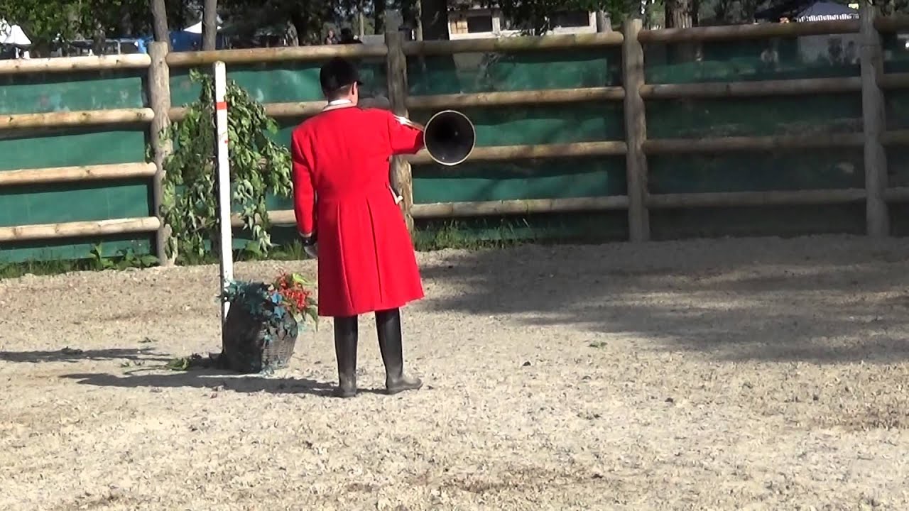 Les animaux en compagnie