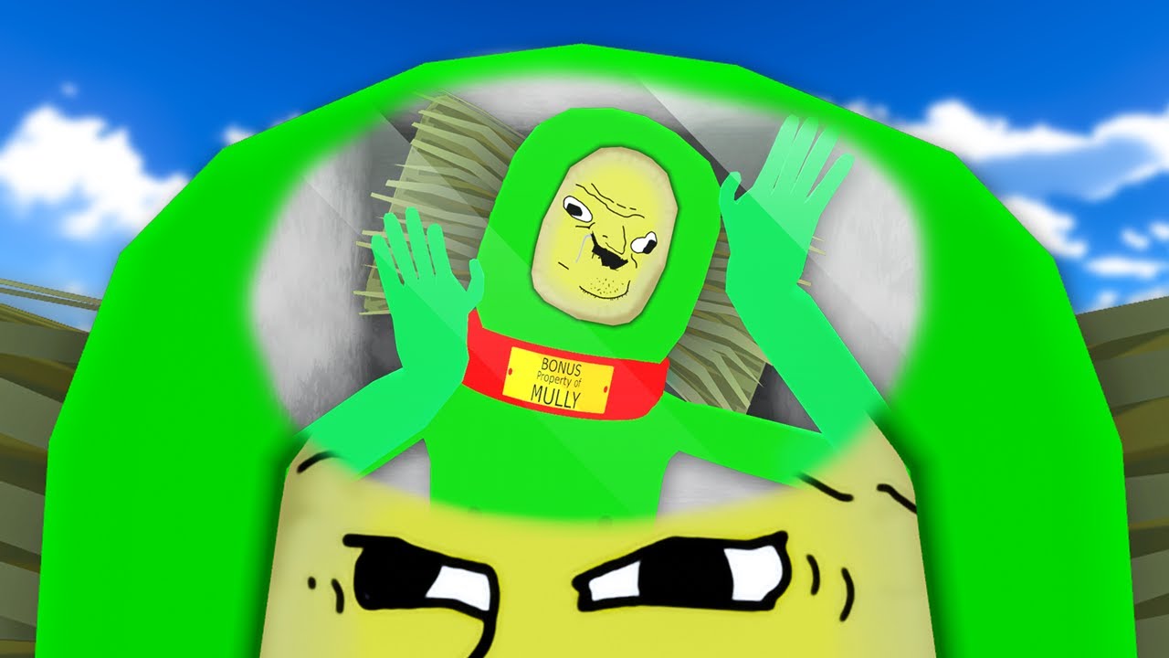 help im stuck in the roof