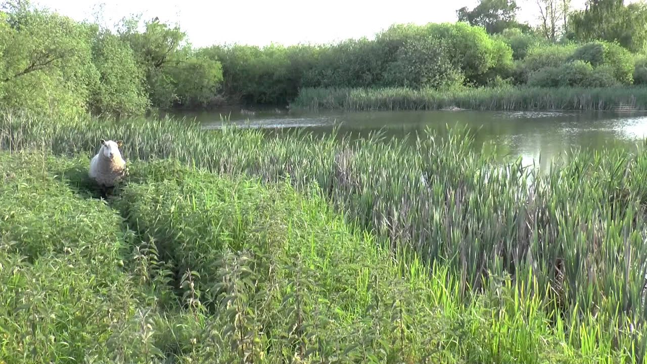 Hjertestien omkring Glumsø Sø