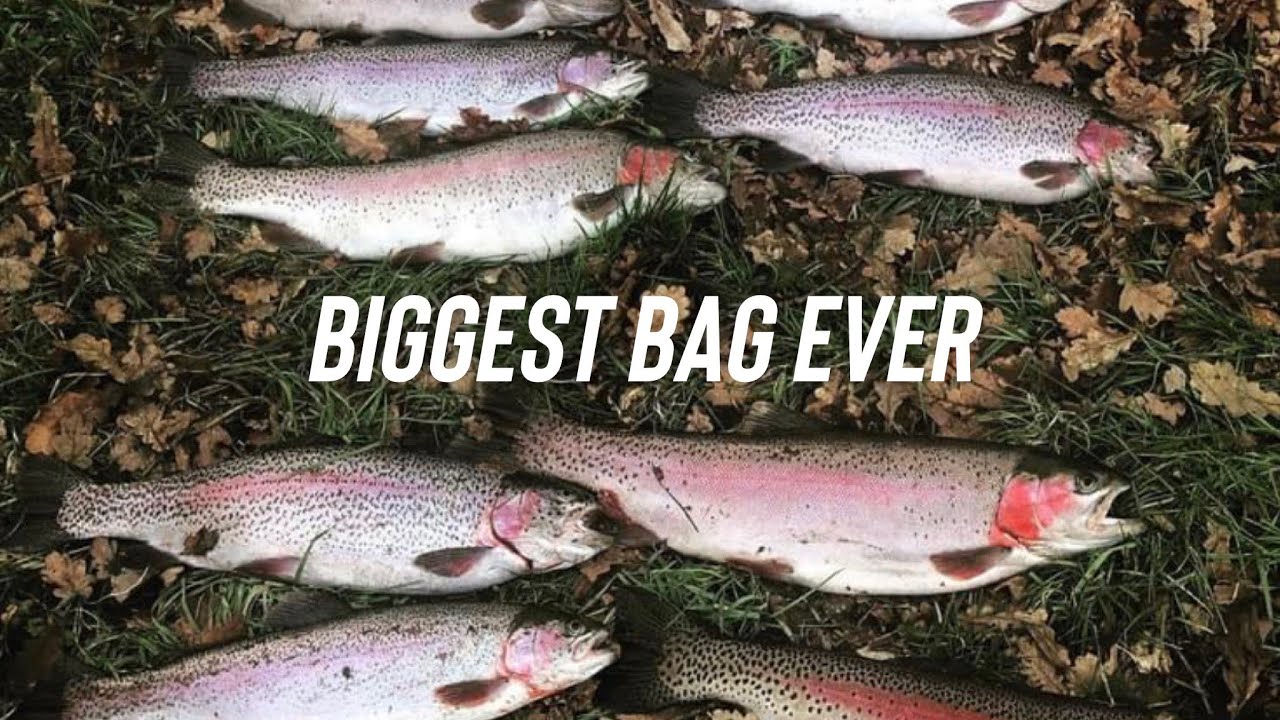 Tenterden Biggest Bag ever and a personal best Blue Trout!