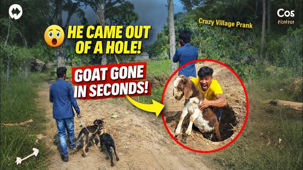 He hid in a hole and stole the goat in seconds! 🐐😱Wait for the twist! 😂🔥