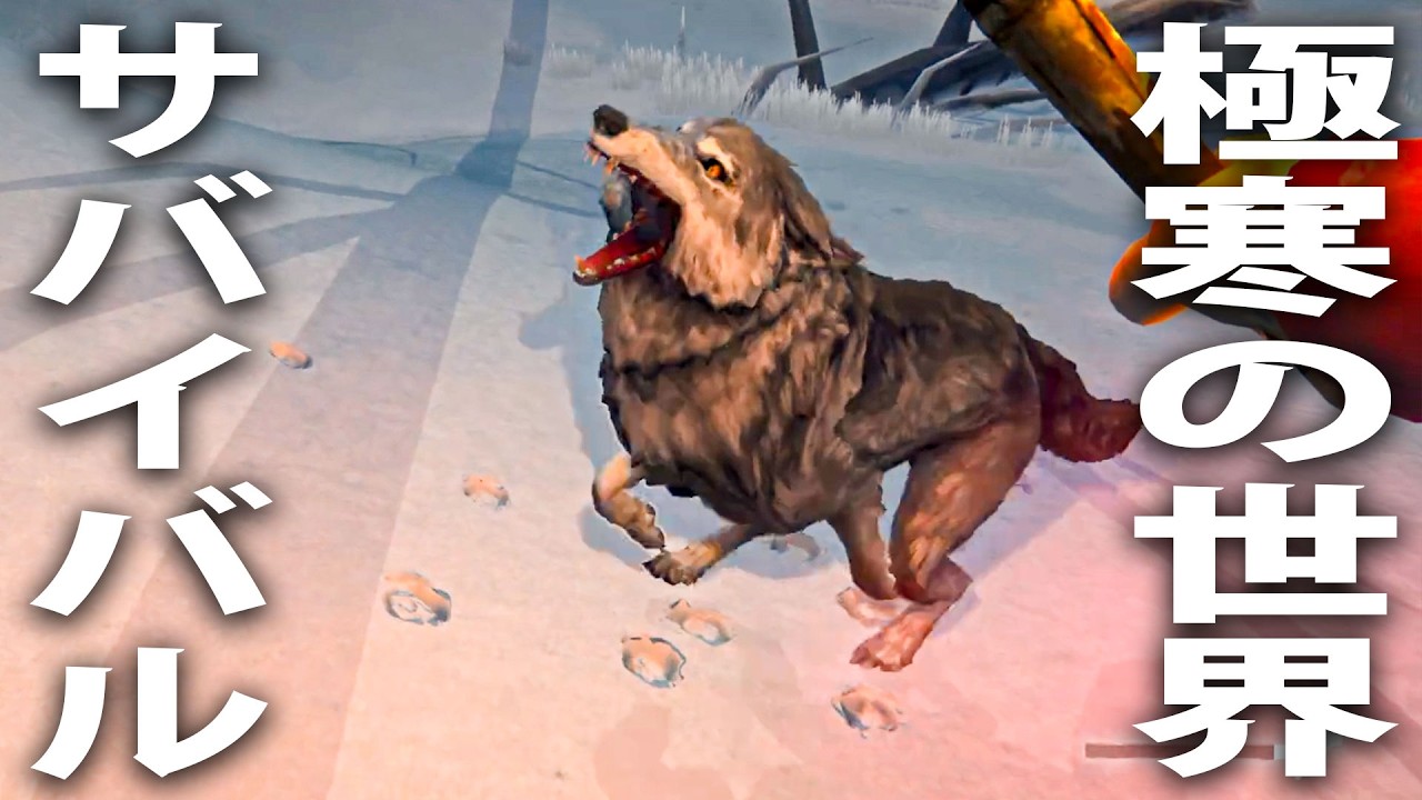 極寒の世紀末世界でサバイバル！オオカミの群れに囲まれて最悪の事態発生【 The Long Dark #11 】