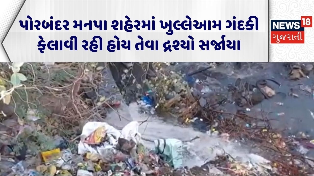 Porbandar Pollution News | પોરબંદર મનપા શહેરમાં ખુલ્લેઆમ ગંદકી ફેલાવી રહી હોય તેવા દ્રશ્યો સર્જાયા