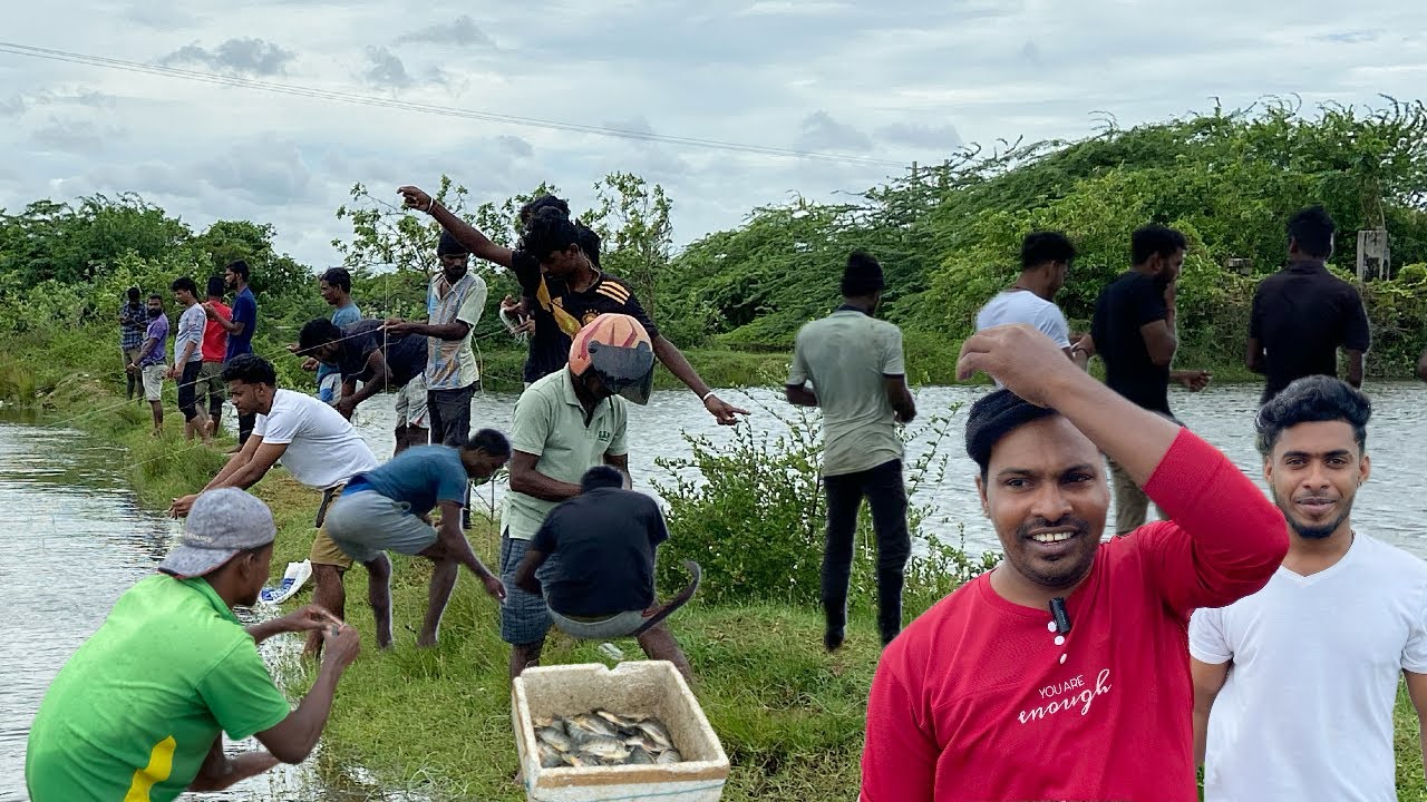 திடீரென தொண்டைமானாற்றில் இறங்கிய பெடியள் | Fishing video | Valvai Sulax #jaffnalifestyle #trending