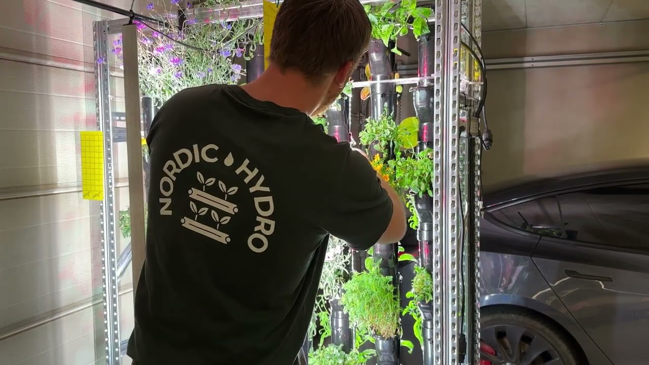 Vertical Hydroponic System | Farming From Home