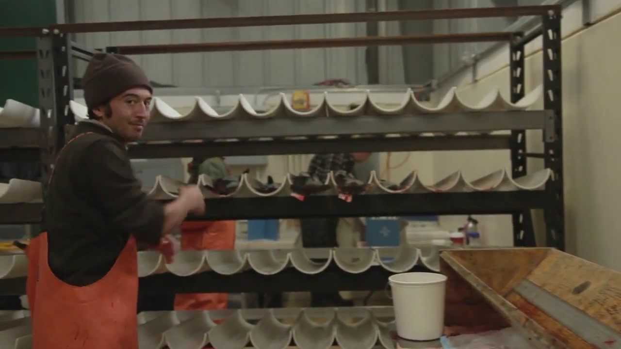 Hatchery AND Wild