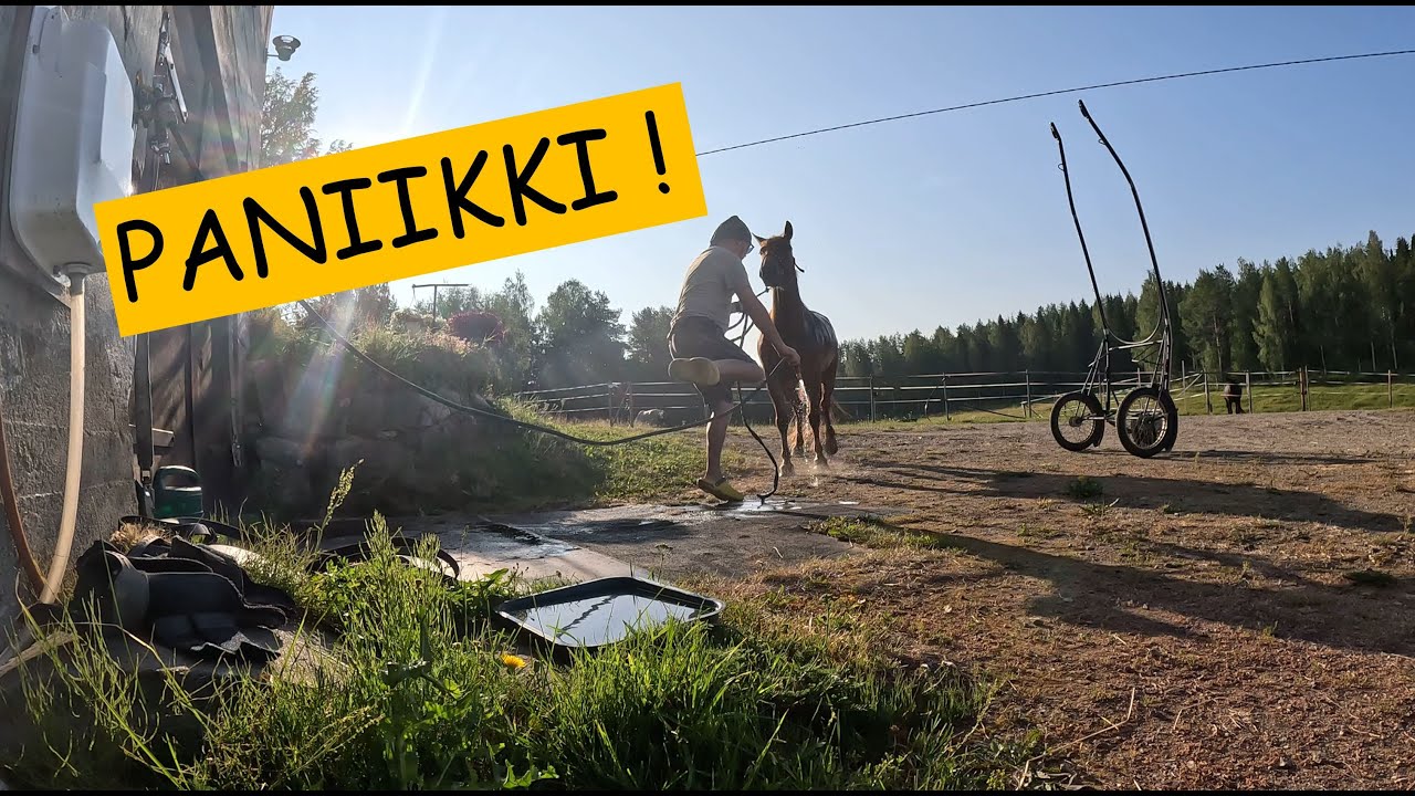 Aamuajot helteellä