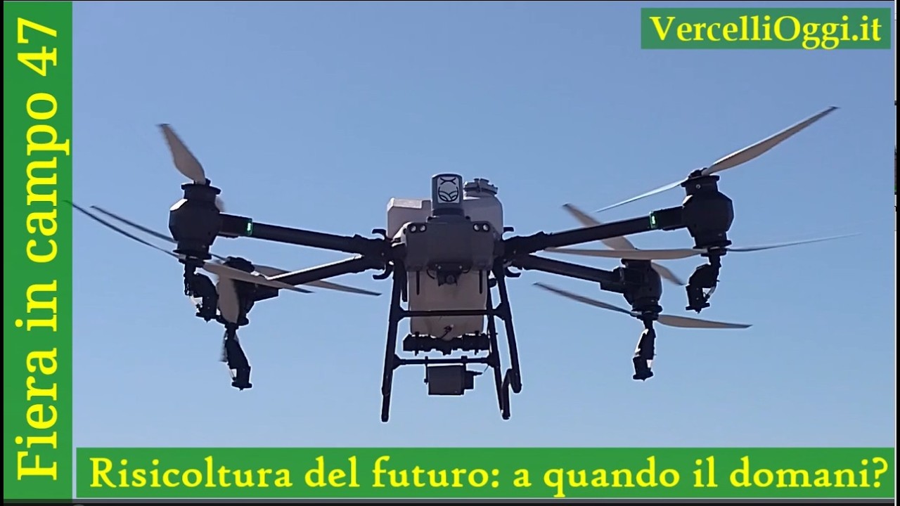 Fiera in Campo n  47   20 febbraio 2026