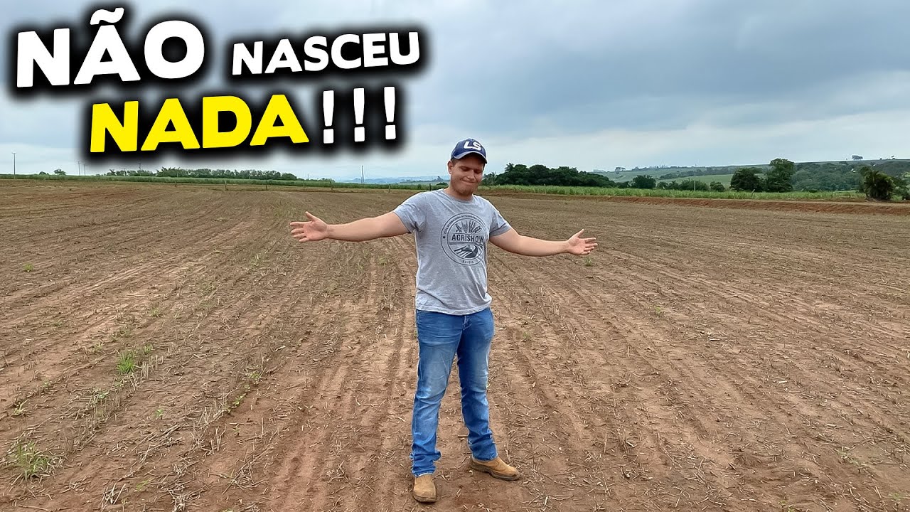 VAMOS TER QUE REPLANTAR A SOJA
