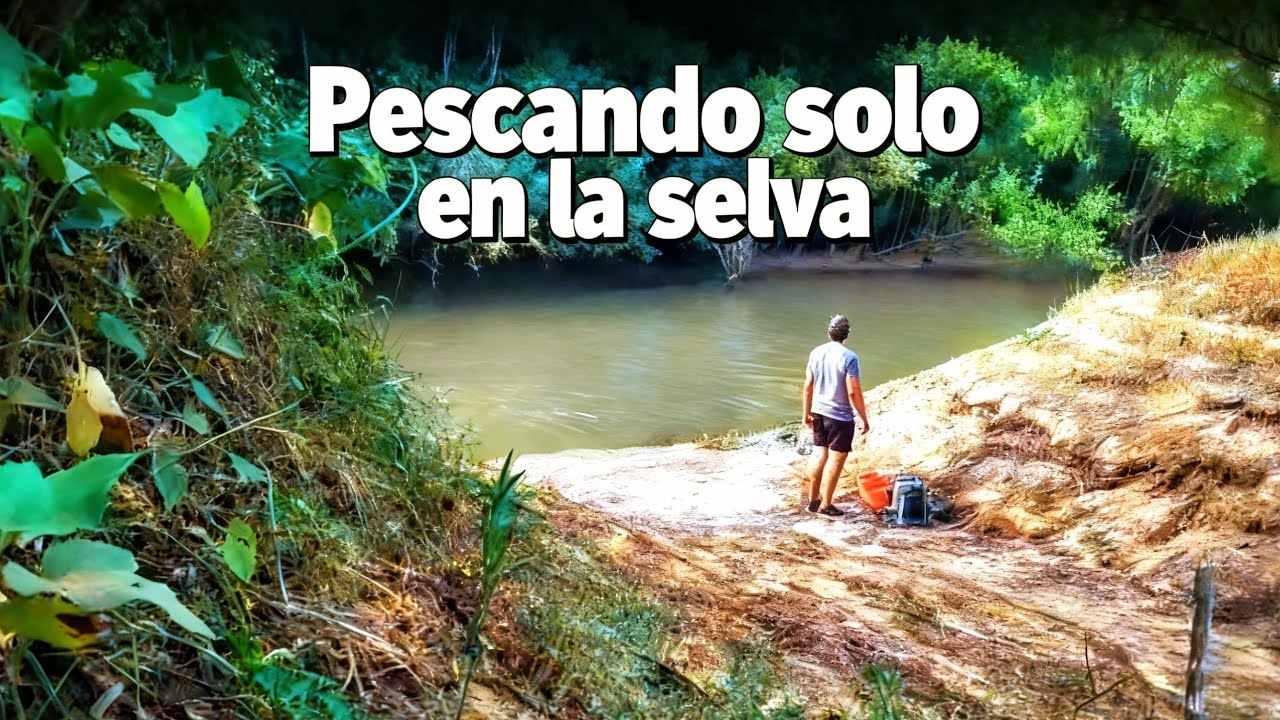 Pescando solo en la selva! Canal del río Uruguay! #fishing #fish #pesca #pescaria #traíra #selva 