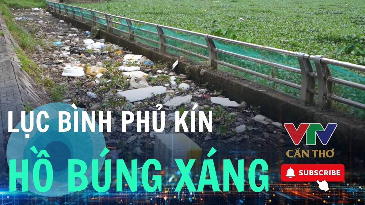 Hồ trung tâm Cần Thơ ngập lục bình, người dân lo muỗi, dịch bệnh | VTV CẦN THƠ