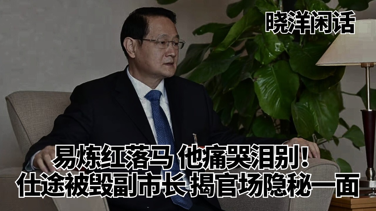 易炼红被查让他痛哭！仕途被毁的副市长，揭开易炼红最隐秘的一面｜易炼红｜姜宗福｜易世威｜湖南｜岳阳｜晓洋闲话