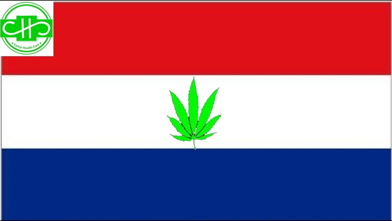 Cannabis in Holland in den Niederlanden Amsterdam #036