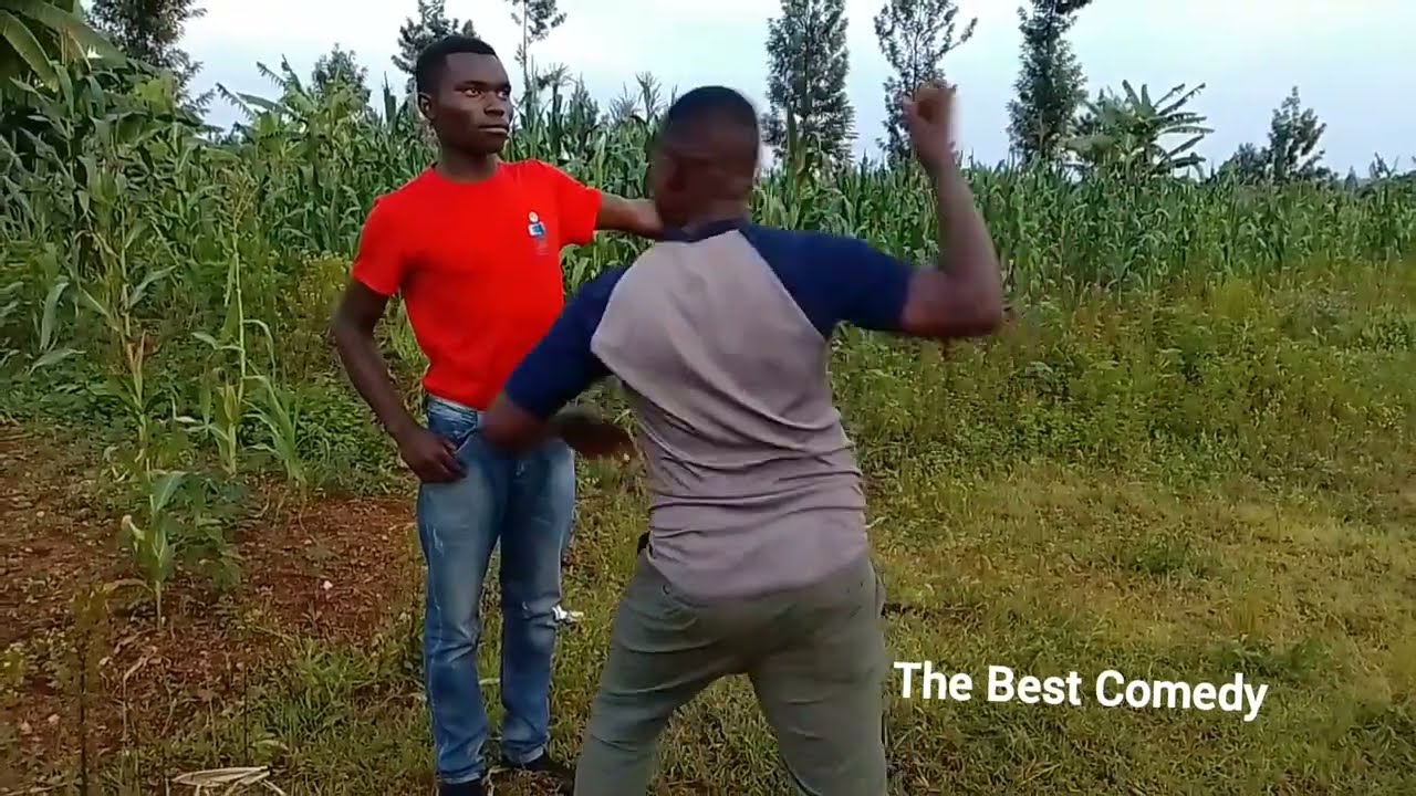 The Best Comedy 