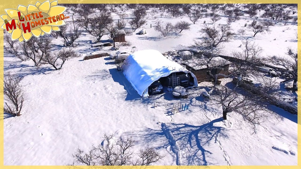 Did Hoop Barn Survive? Stovetop & Gaming Desk  | Weekly Peek Ep174