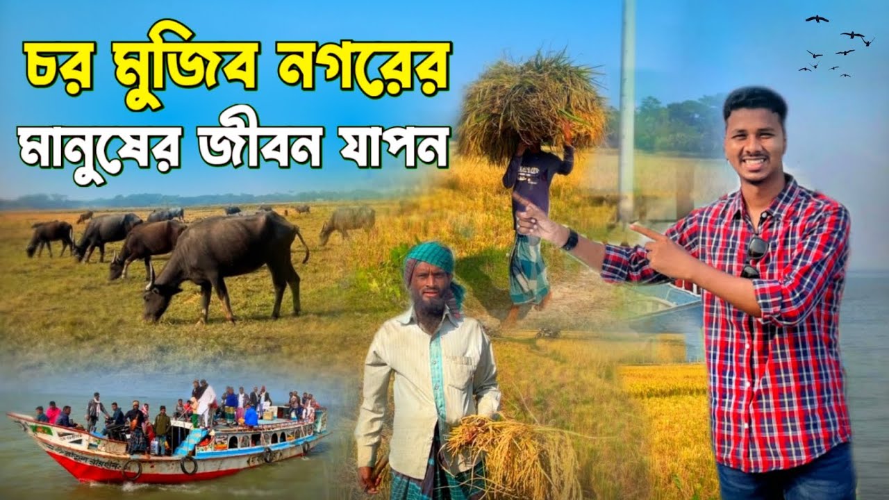 ভোলার চর মুজিবনগরের মানুষের জীবন যাপন
