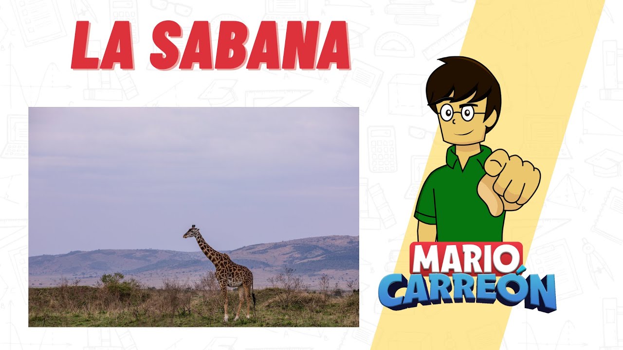 🦒 La Sabana 🦛