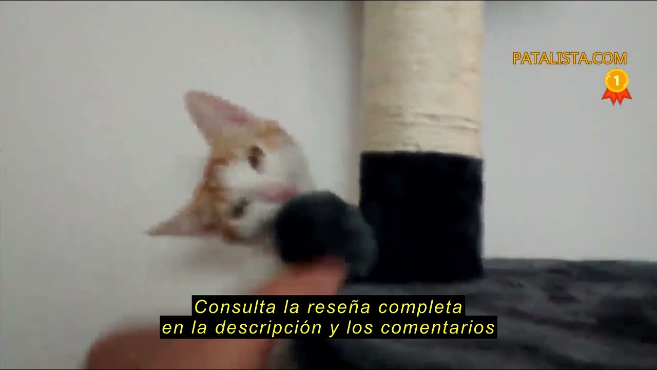 Reseña del lionto Árbol rascador para Gatos Altura 112 cm, Beige