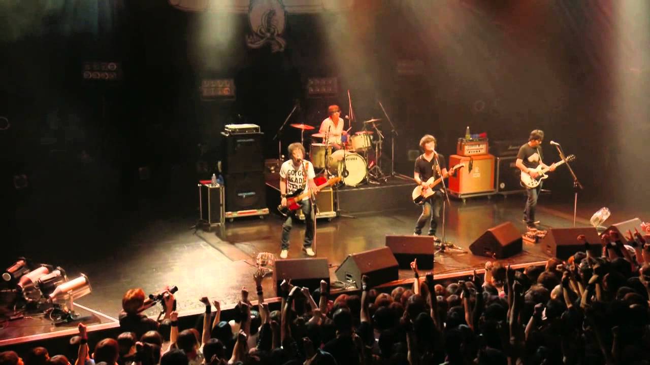 the pillows - Rescue