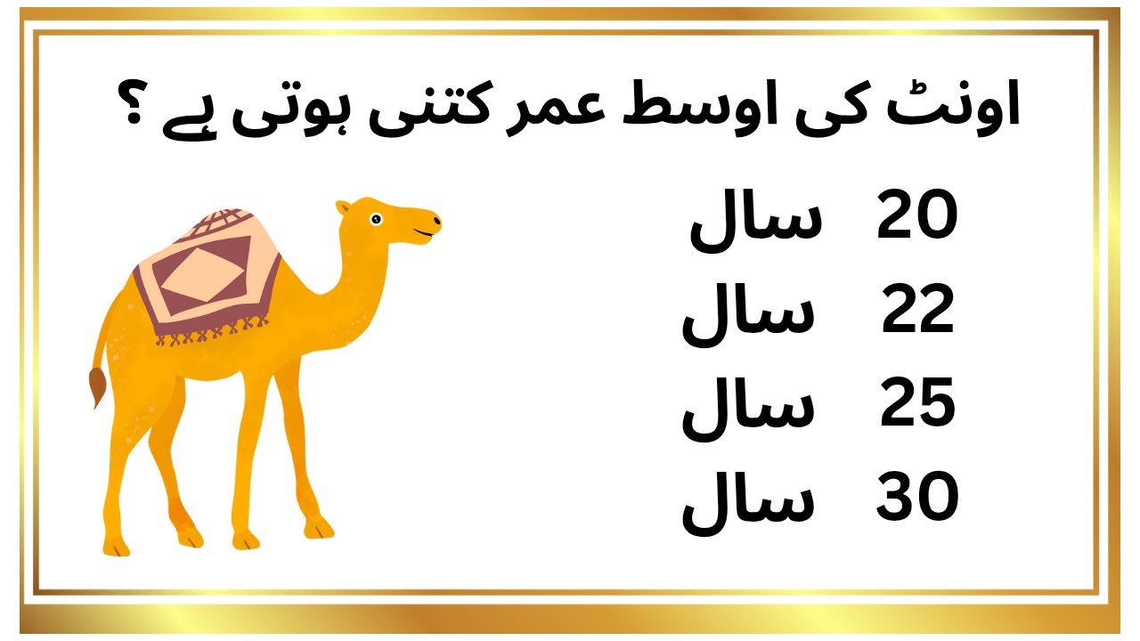 Top 10 general knowledge questions and answers|| in Urdu|| informative|| interesting