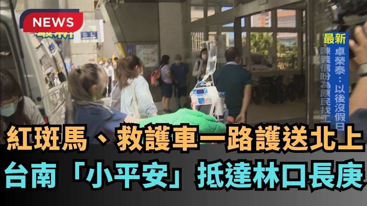 【熱搜新聞】紅斑馬、救護車一路護送北上　台南「小平安」抵達林口長庚｜民視新聞｜