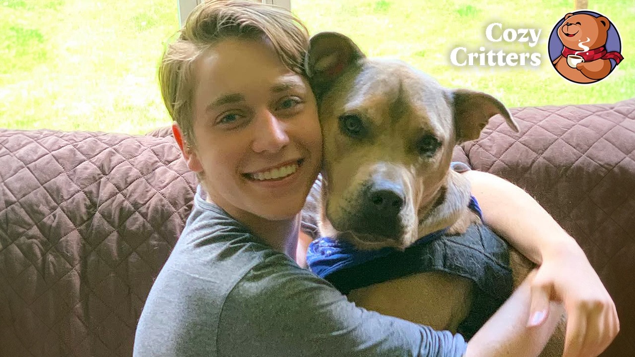 He Was Afraid of Everything — Except One Boy | Cozy Critters