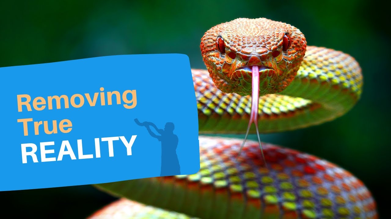 TeShuva Music REMEMBER YOUR PAST (Preparing for Yom Kippur)