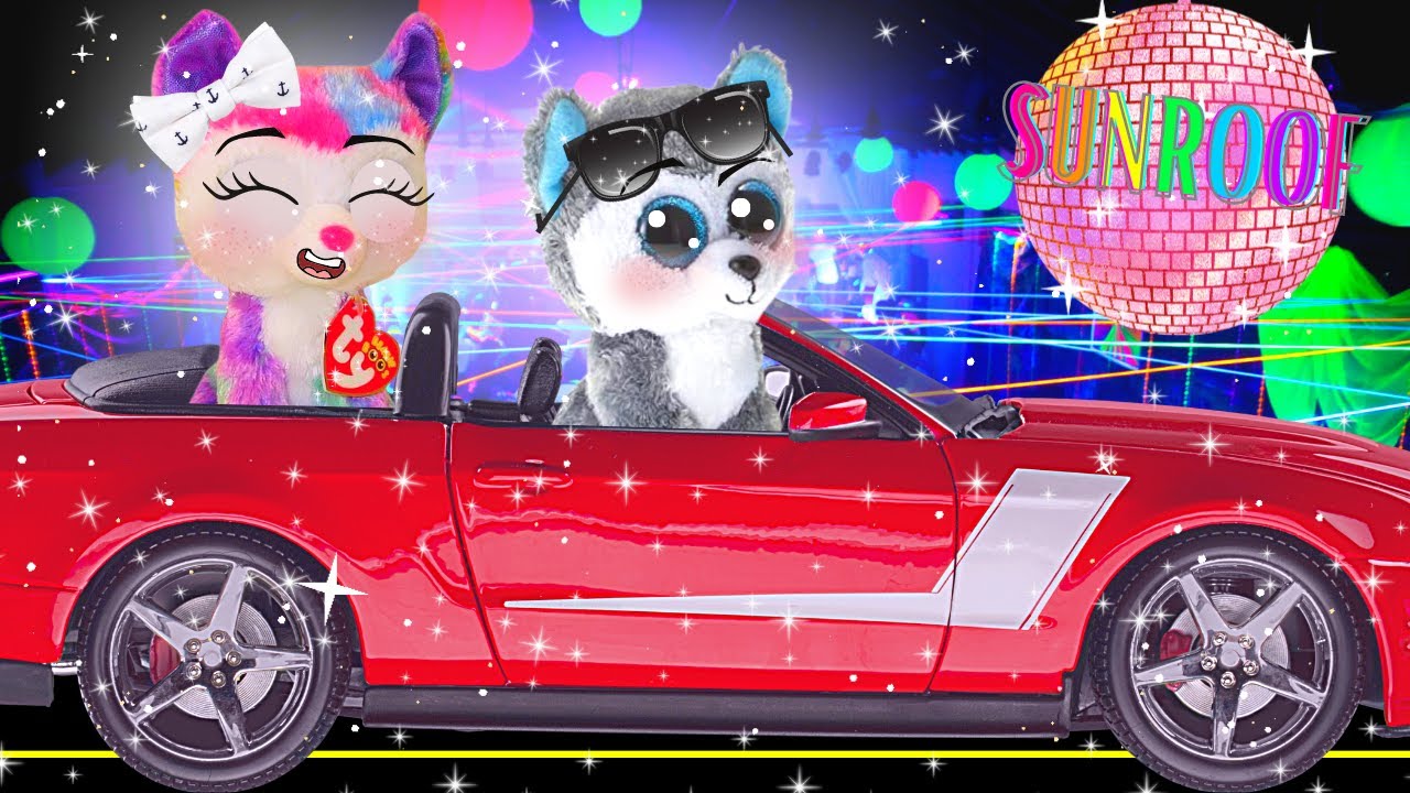 Beanie Boo Music Video! - Sunroof
