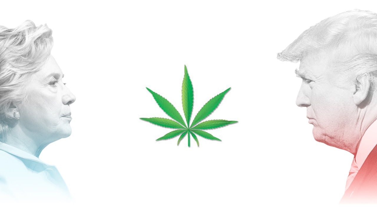 ELECTION NIGHT SMOKE SESH
