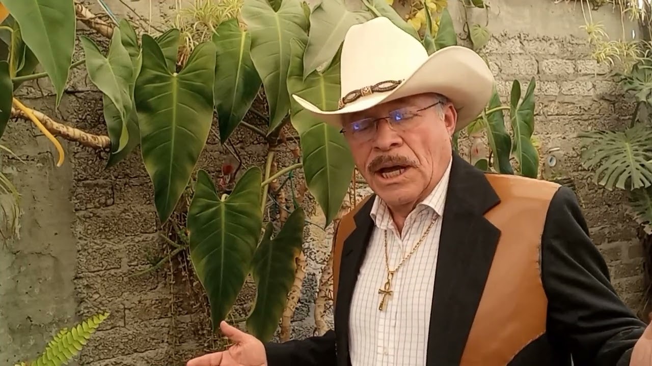 Retirada